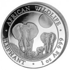2014 Somalian Elephant